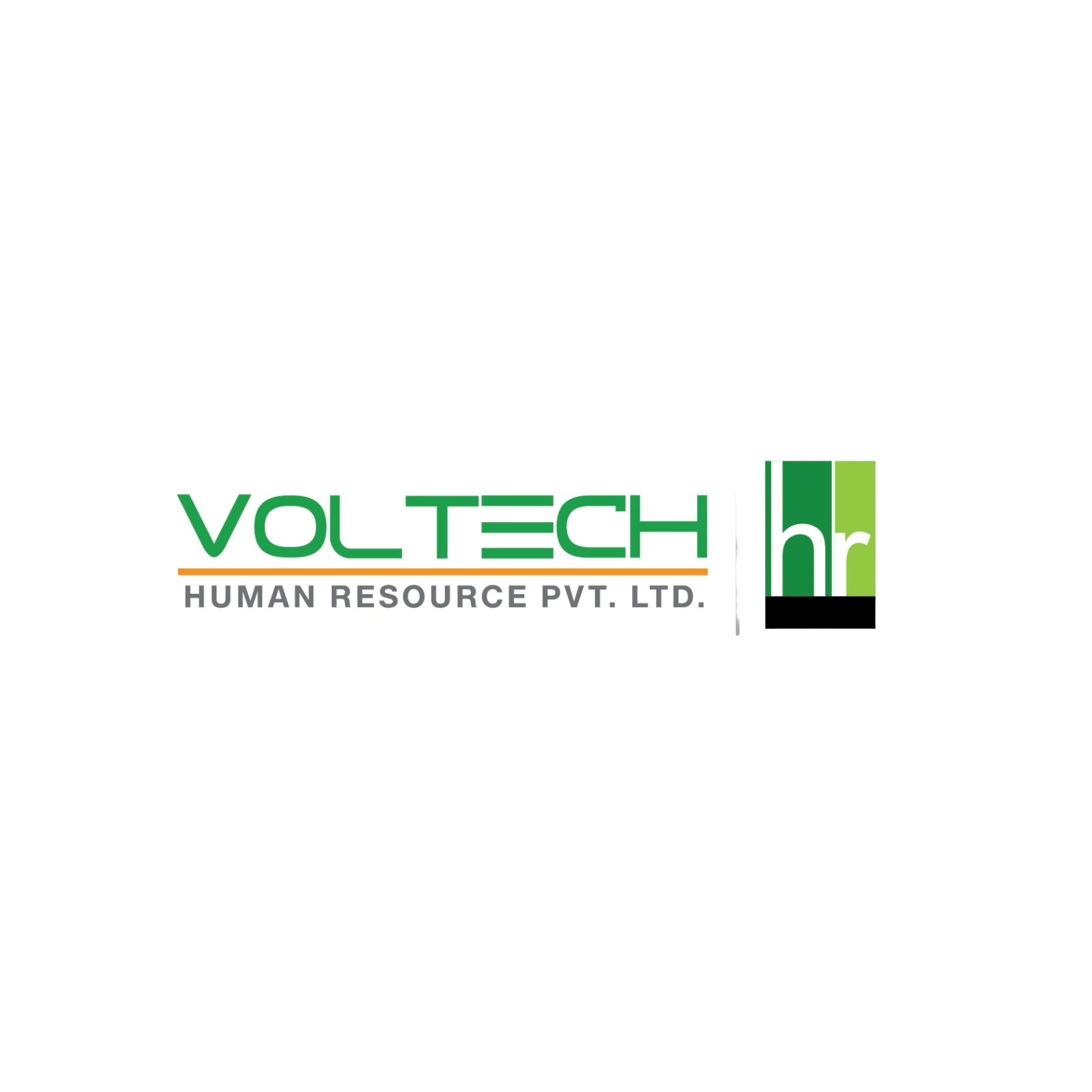 Voltech Logo